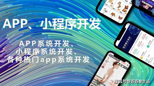 軟件定制開發對企業有哪些好處 軟件定制開發丨商城系統開發